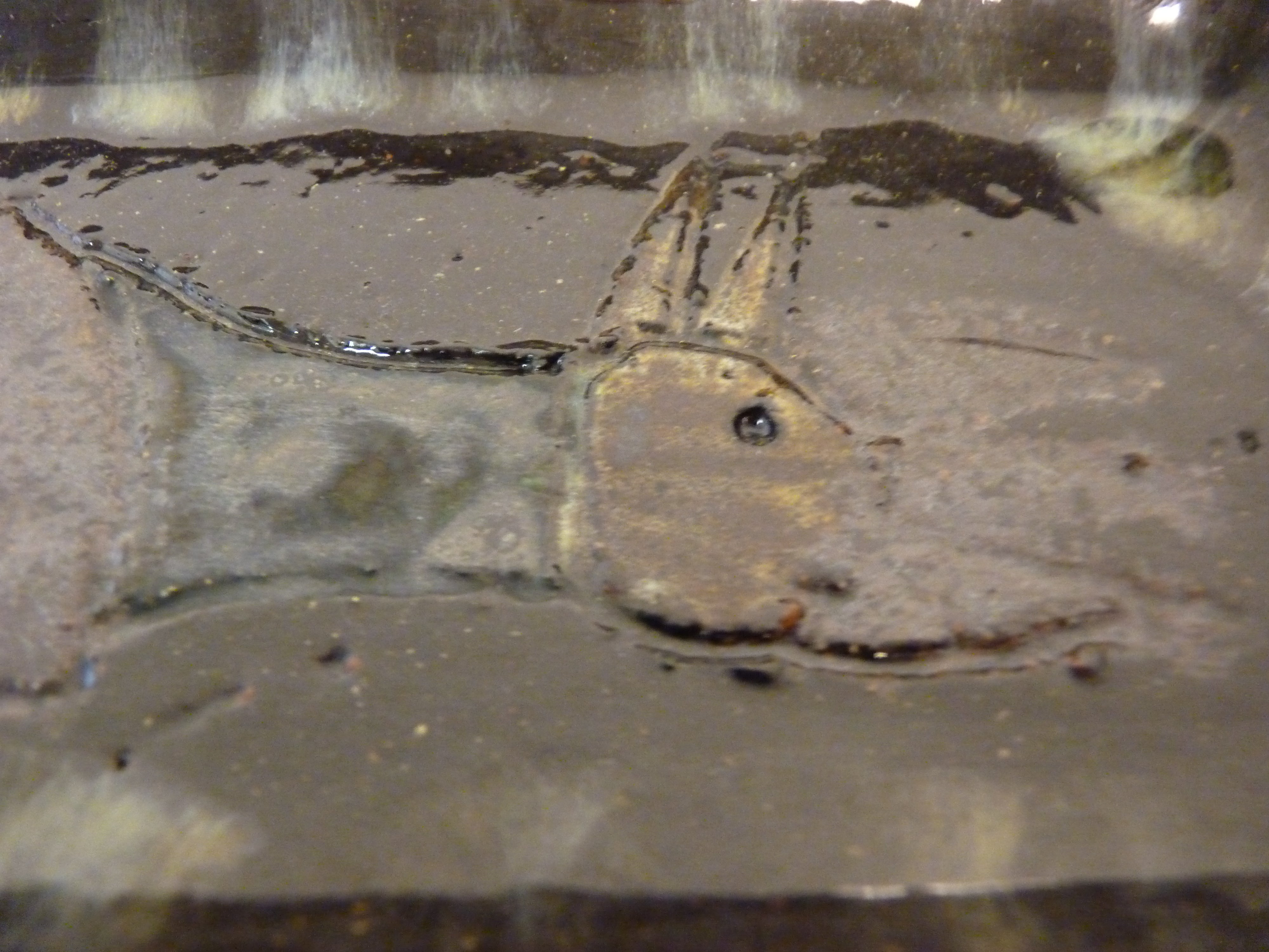 Robert B - unika keramik fad